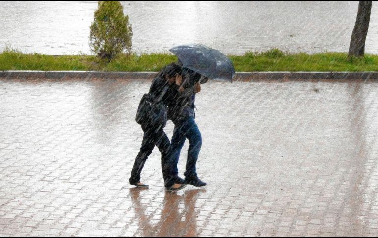 Según la misma página, los resfriados son más comunes tanto en la temporada de lluvias como durante la época de frío por diversos factores. ESPECIAL / Foto de Atilla Bingöl en Unsplash